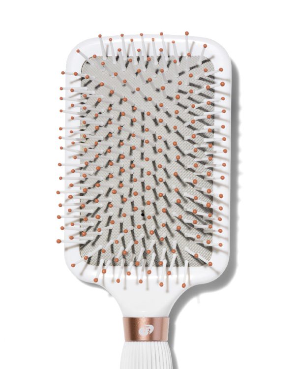 Tool_on_White_A_Smooth_Paddle_Brush_White-1.jpg SMOOTH PADDLE BRUSH
